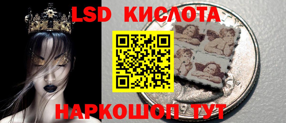 Галлюциногенные грибы Биробиджан