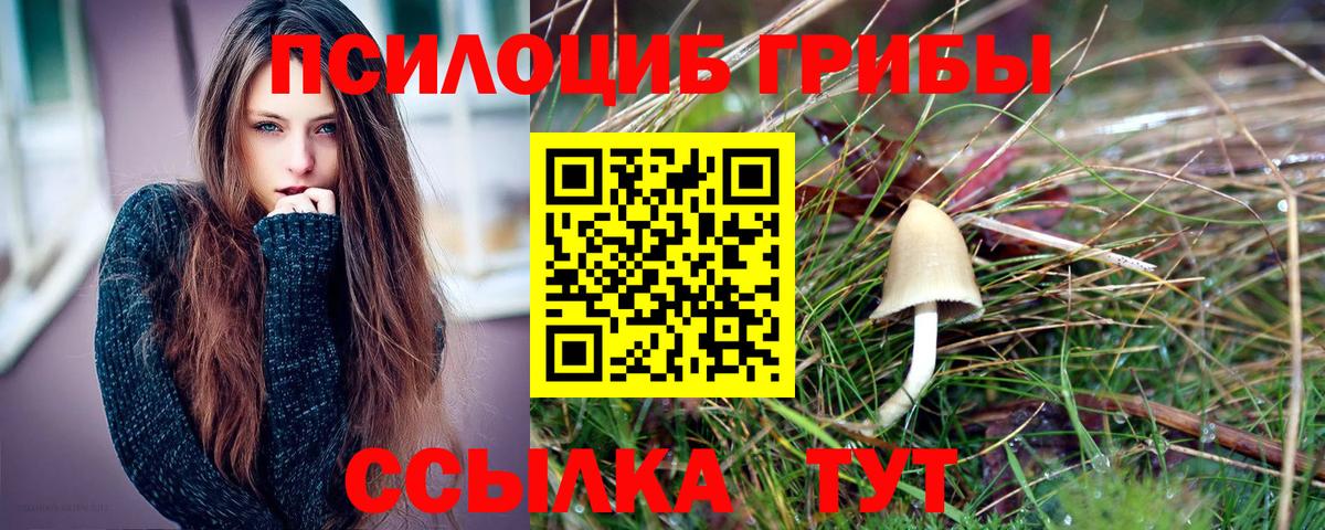 Галлюциногенные грибы мицелий Биробиджан